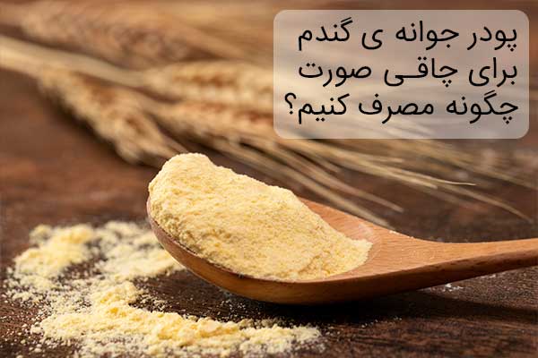 روش مصرف پودر جوانه گندم برای چاقی صورت در کوتاه ترین زمان - اپلیکیشن جامع  لاغری وچاقی سیگما